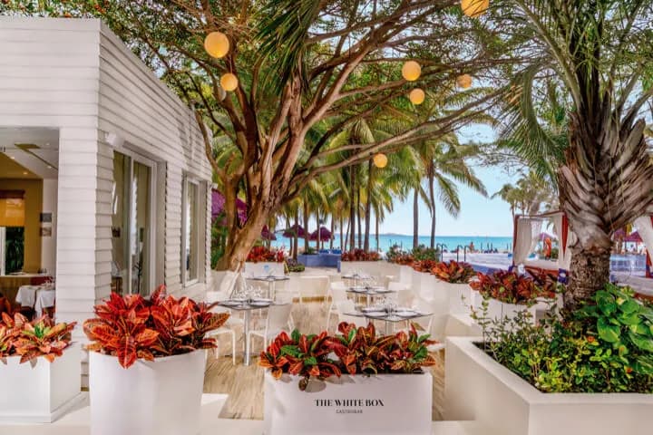 Restaurante The White Box, Grand Oasis Cancún